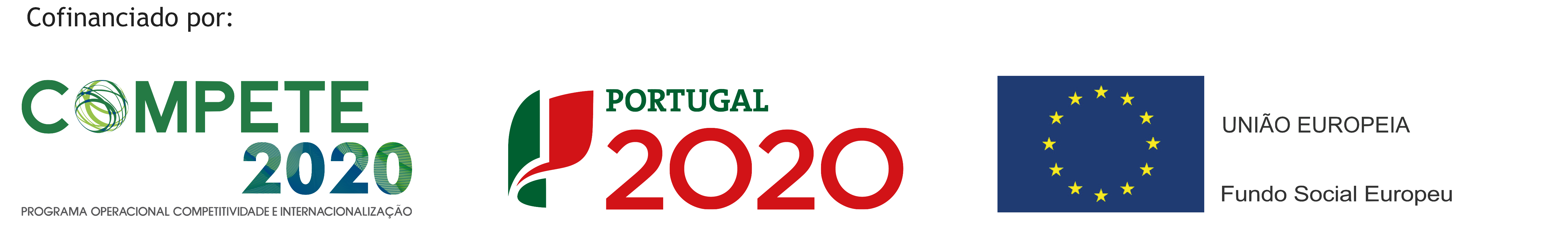 Footer Logo